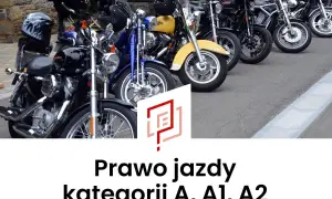Rząd motocykli, w tym żółty i niebieski, gotowych do jazdy. Idealne dla posiadaczy prawa jazdy A2.