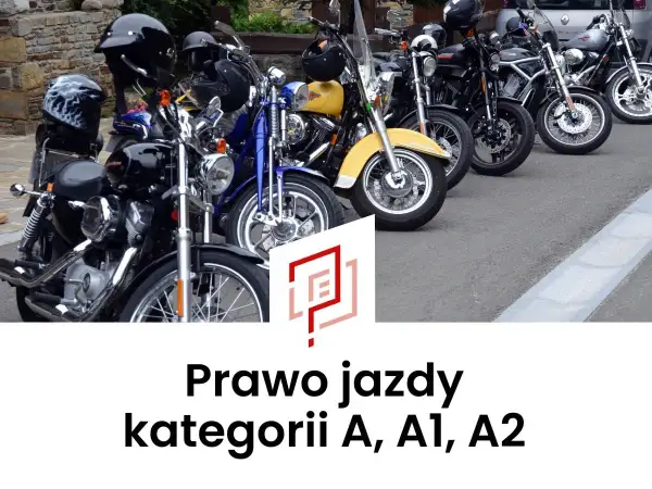 Rząd motocykli, w tym żółty i niebieski, gotowych do jazdy. Idealne dla posiadaczy prawa jazdy A2.